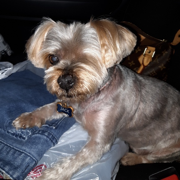 Random clothing in new or slightly used condition - Picture 5 of 10